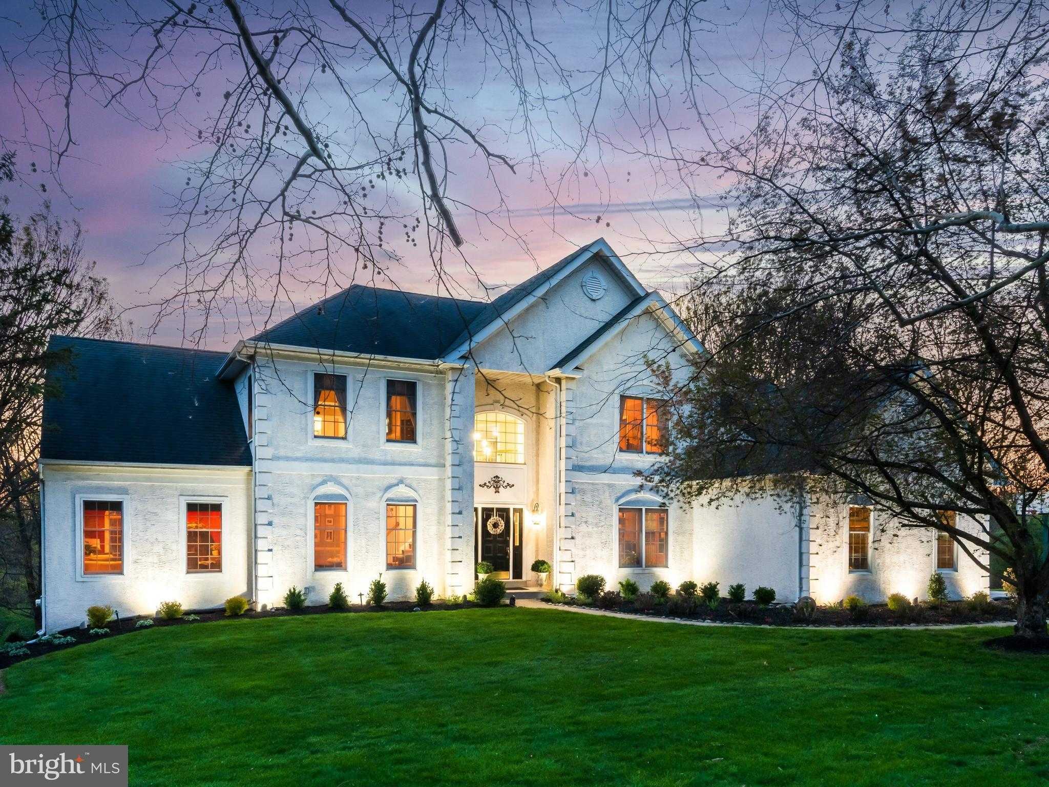 290 Dressage CT photo 7