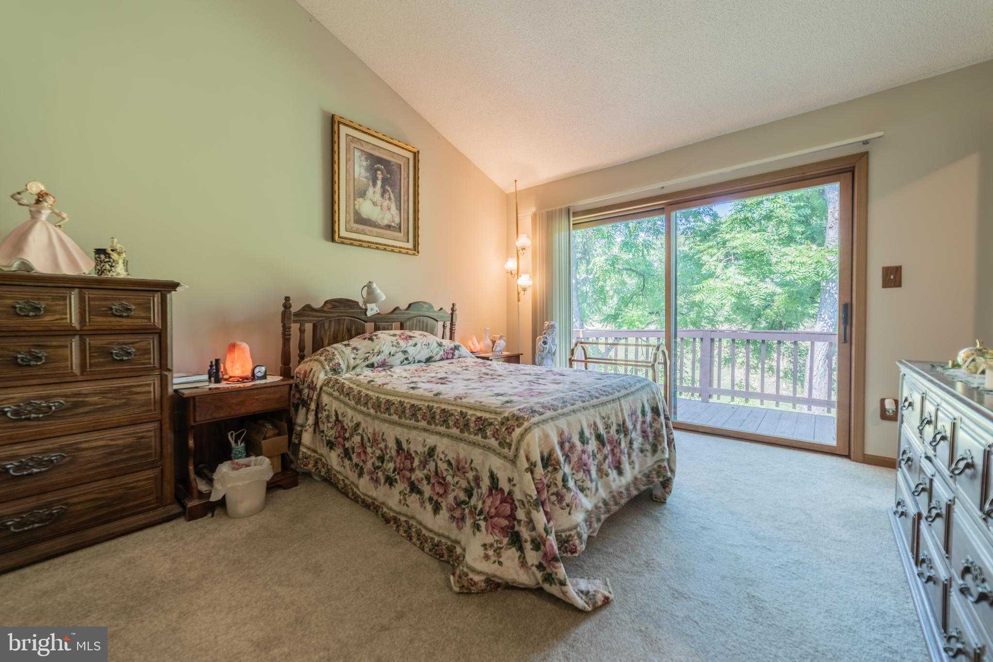 204 Tecumseh Trl photo 11