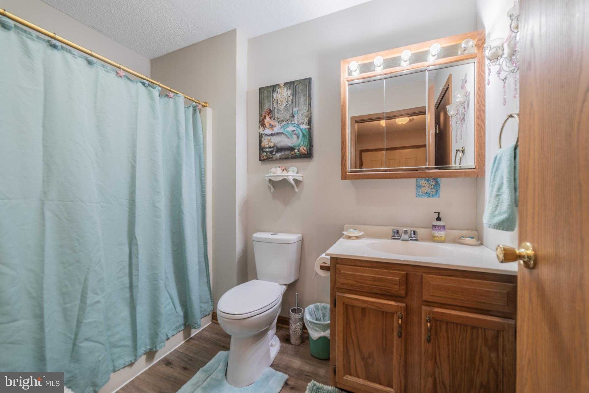 204 Tecumseh Trl photo 8