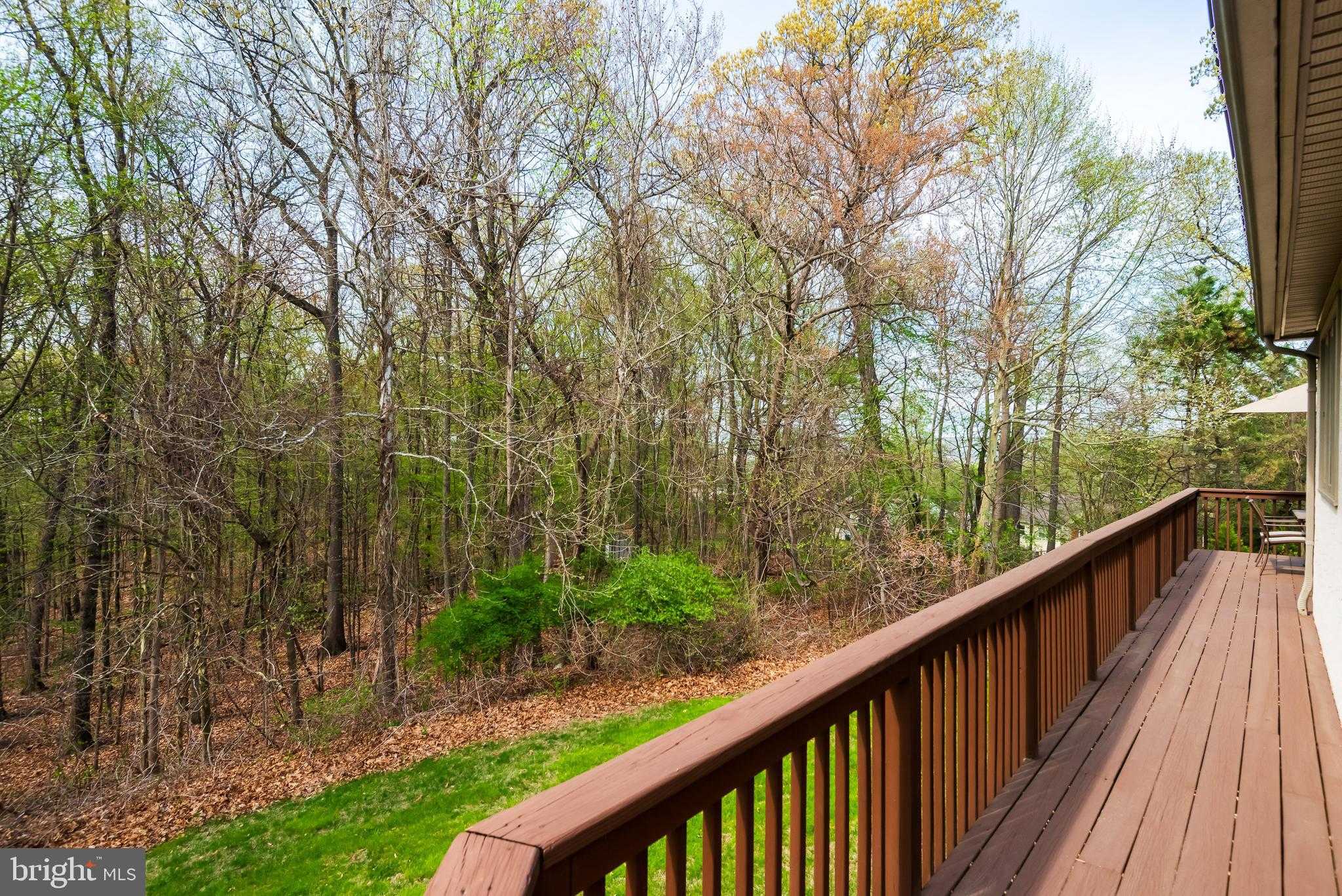 105 Margaret Ln photo 47