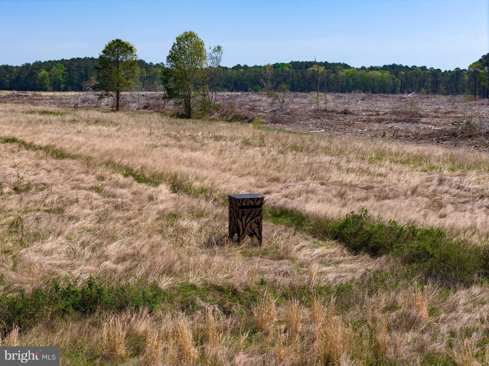 0 COLONA ROAD photo 20