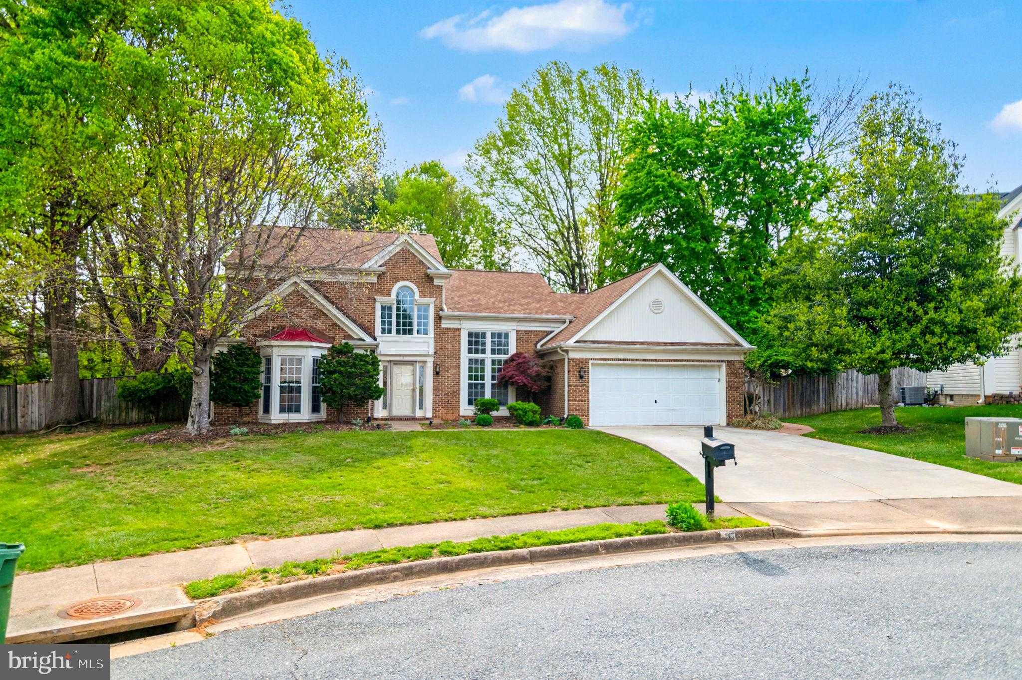 6 Teri Lyn CT photo 3