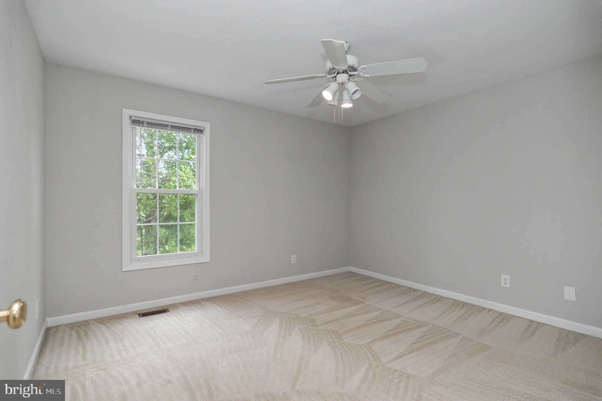 6 Teri Lyn CT photo 33