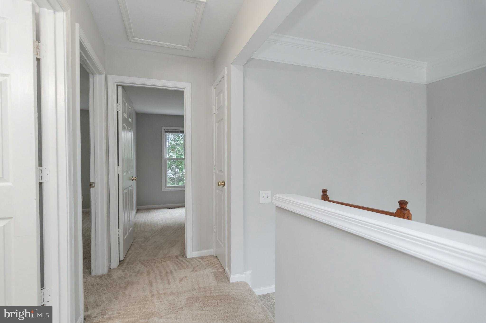 6 Teri Lyn CT photo 36