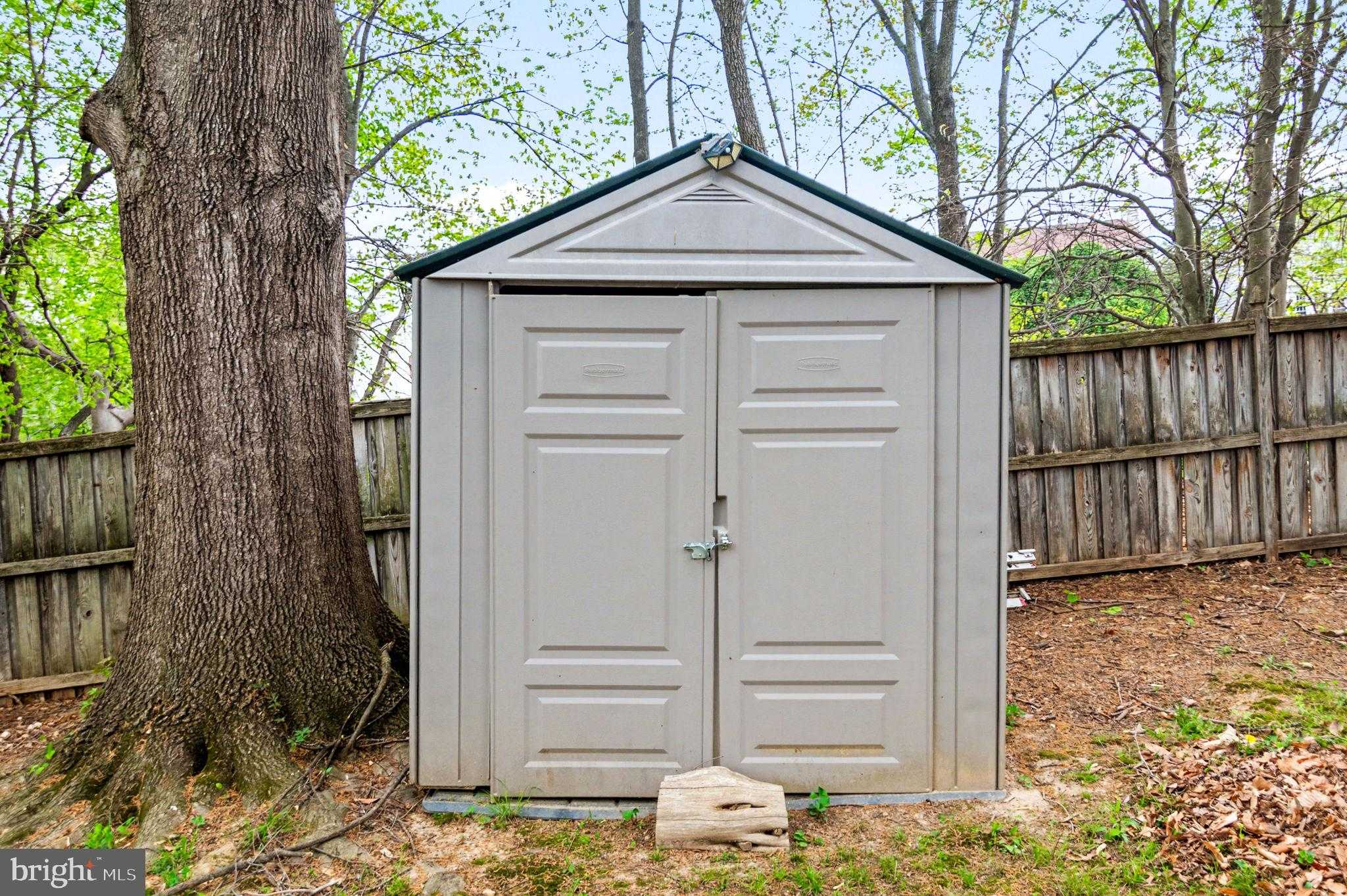 6 Teri Lyn CT photo 45