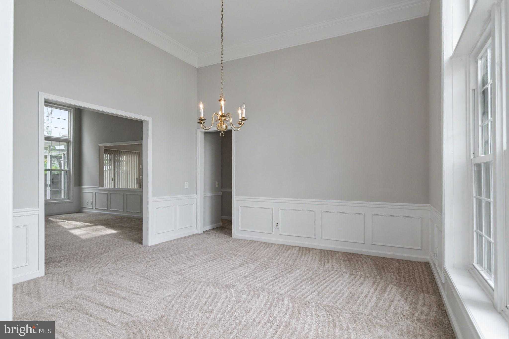 6 Teri Lyn CT photo 8