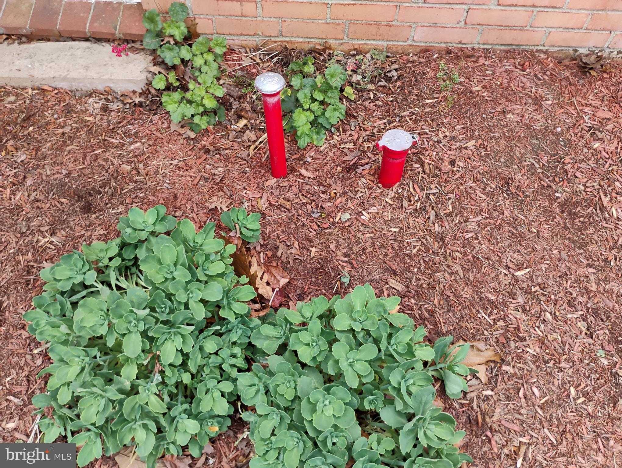 12266 Elk Run Church Rd photo 64