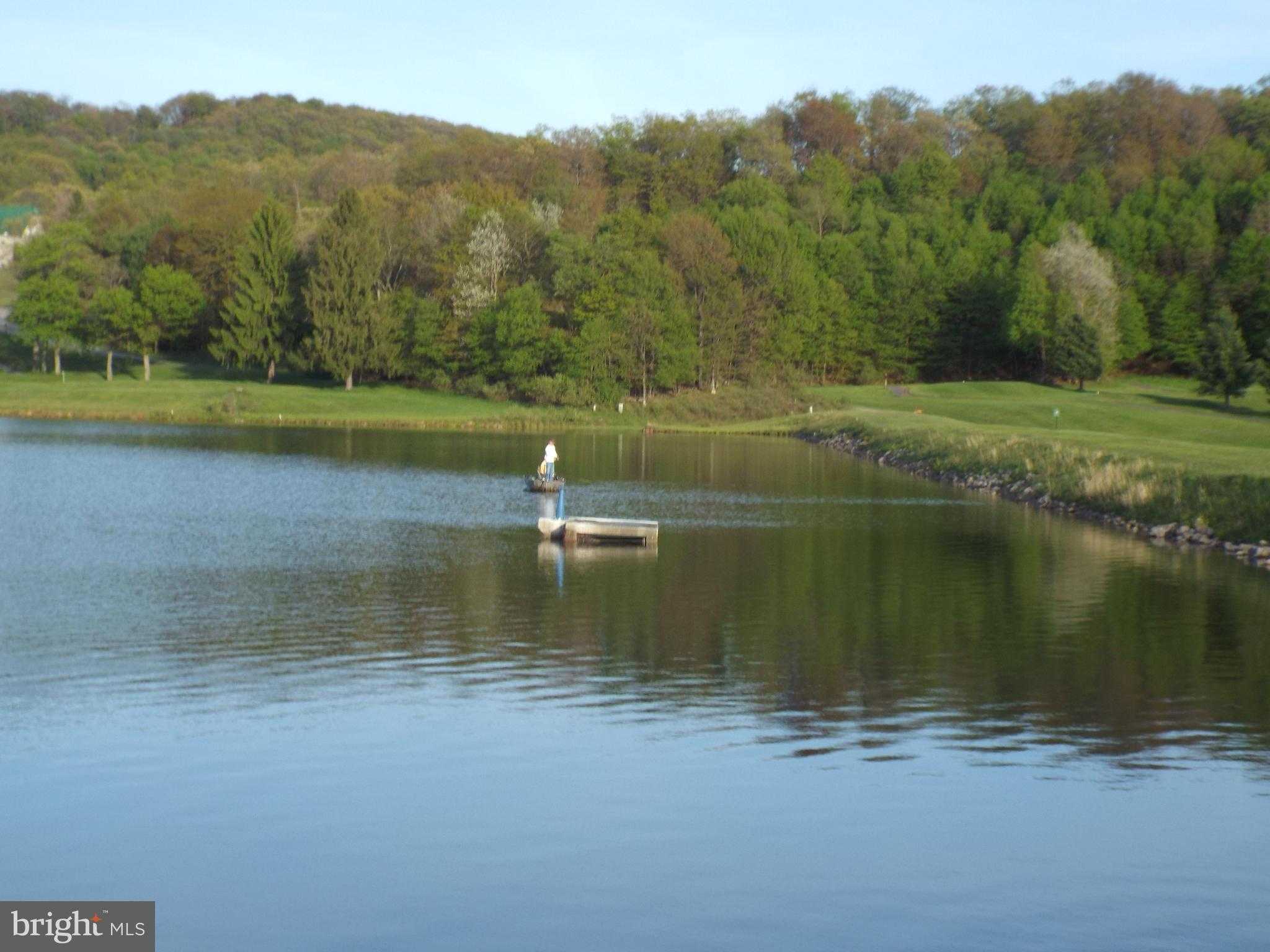 442 Grosbeak Dr photo 66