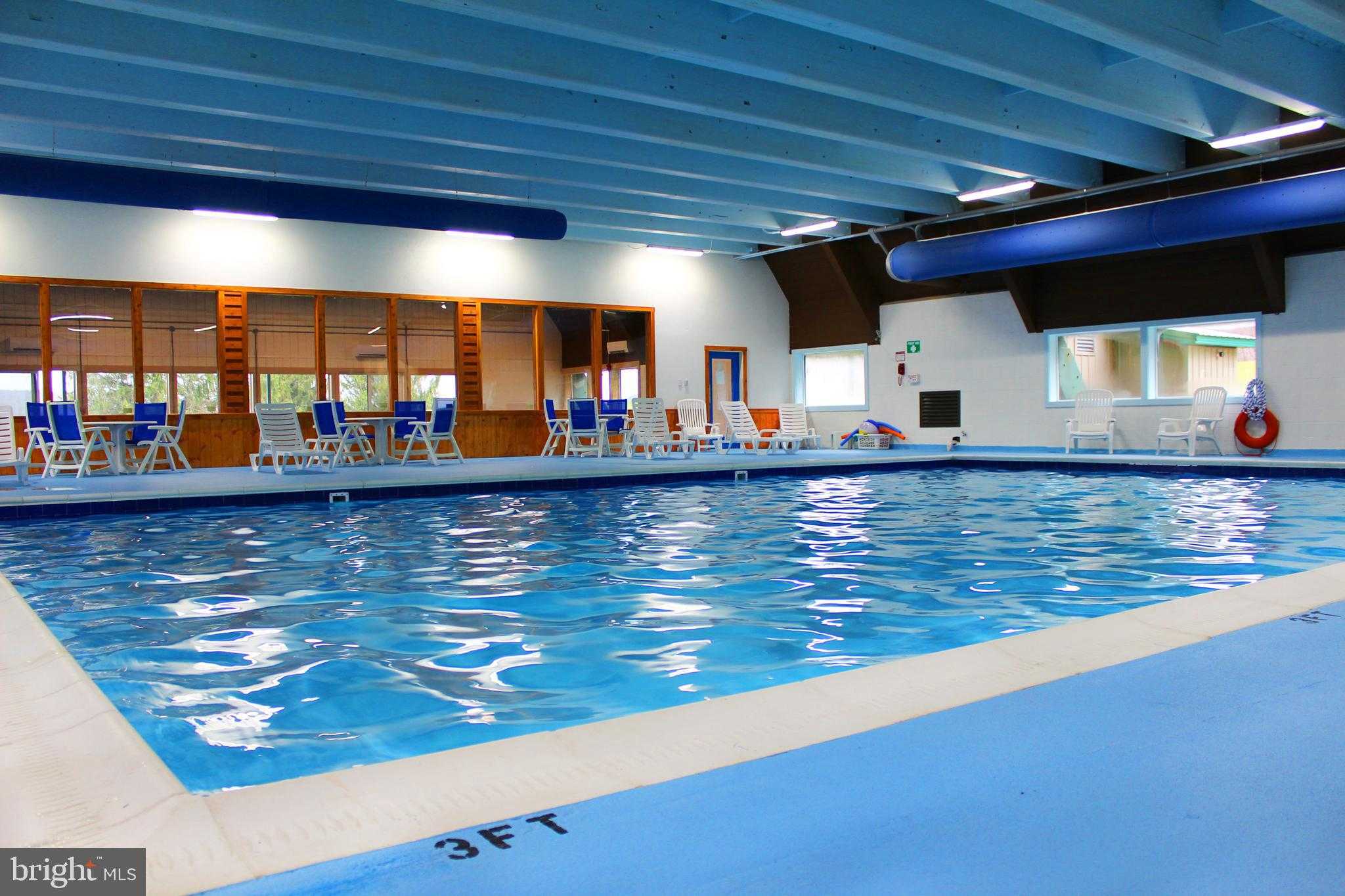 442 Grosbeak Dr photo 72