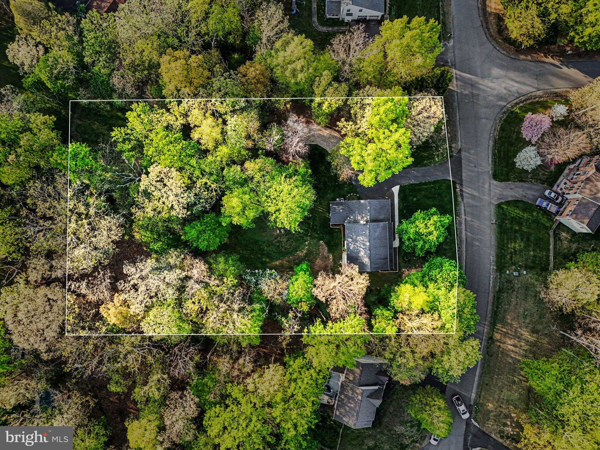 11214 Stonebrook Dr photo 3