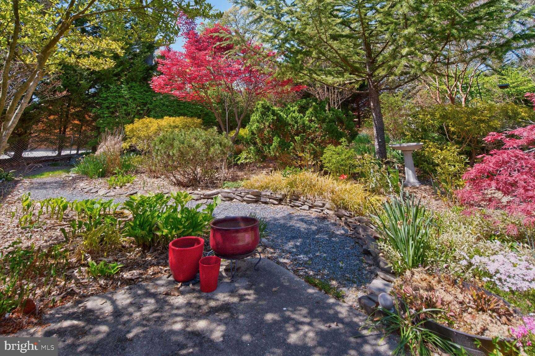 11128 Emack Rd photo 36