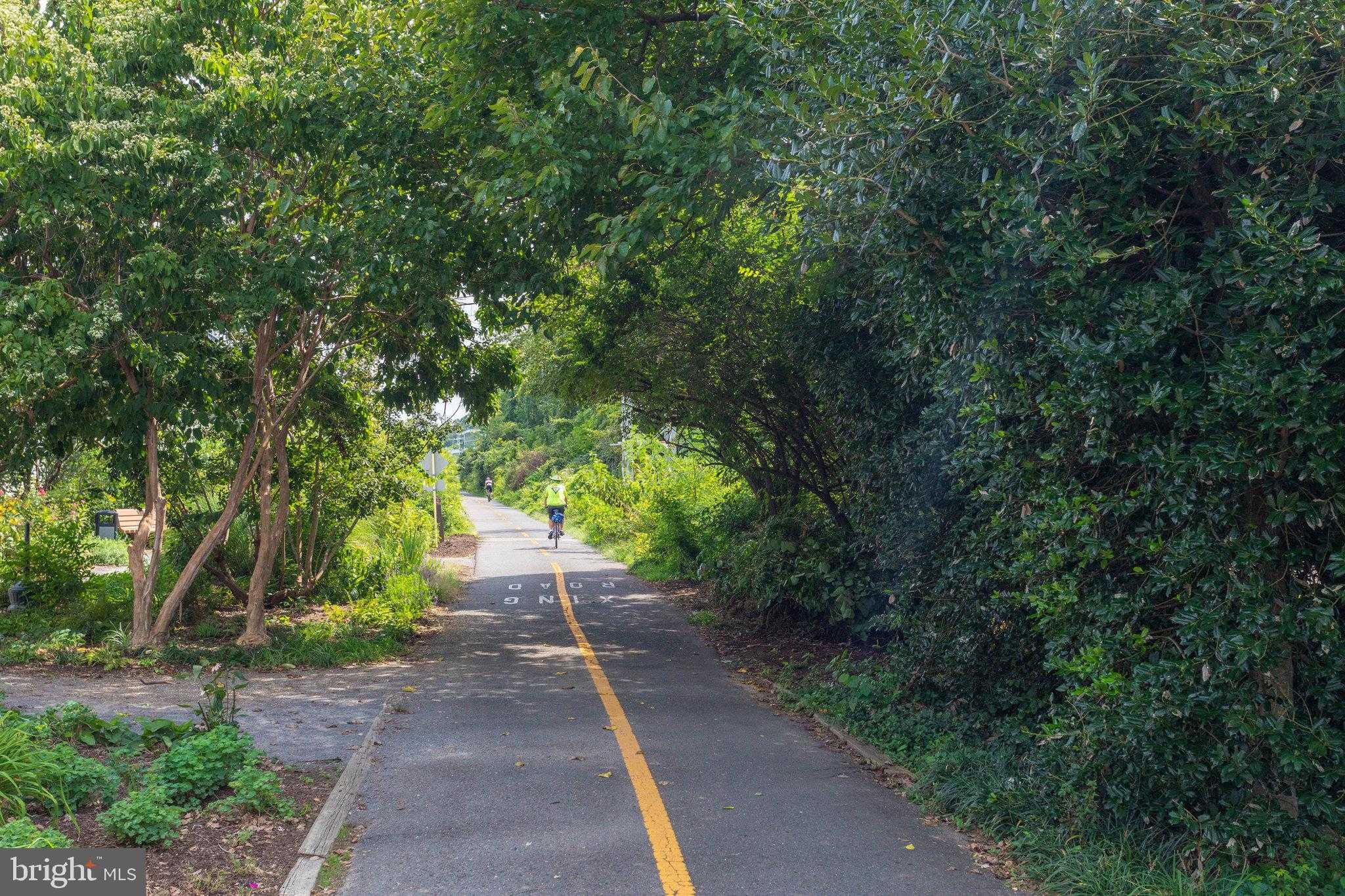 1706 Broadfield Ln photo 16