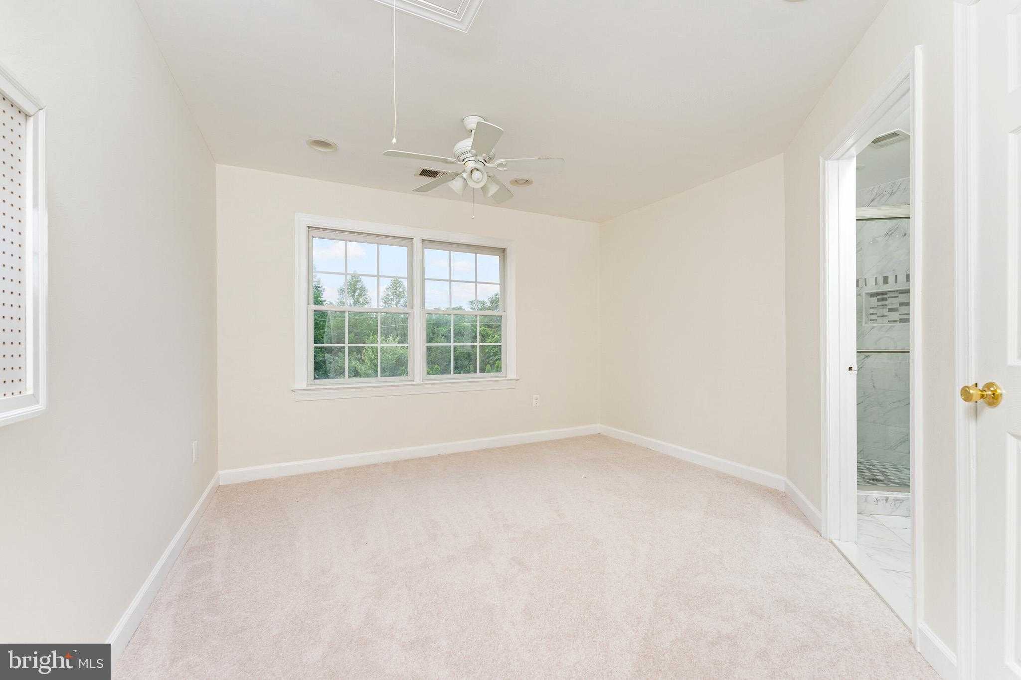 Prince William St photo 17