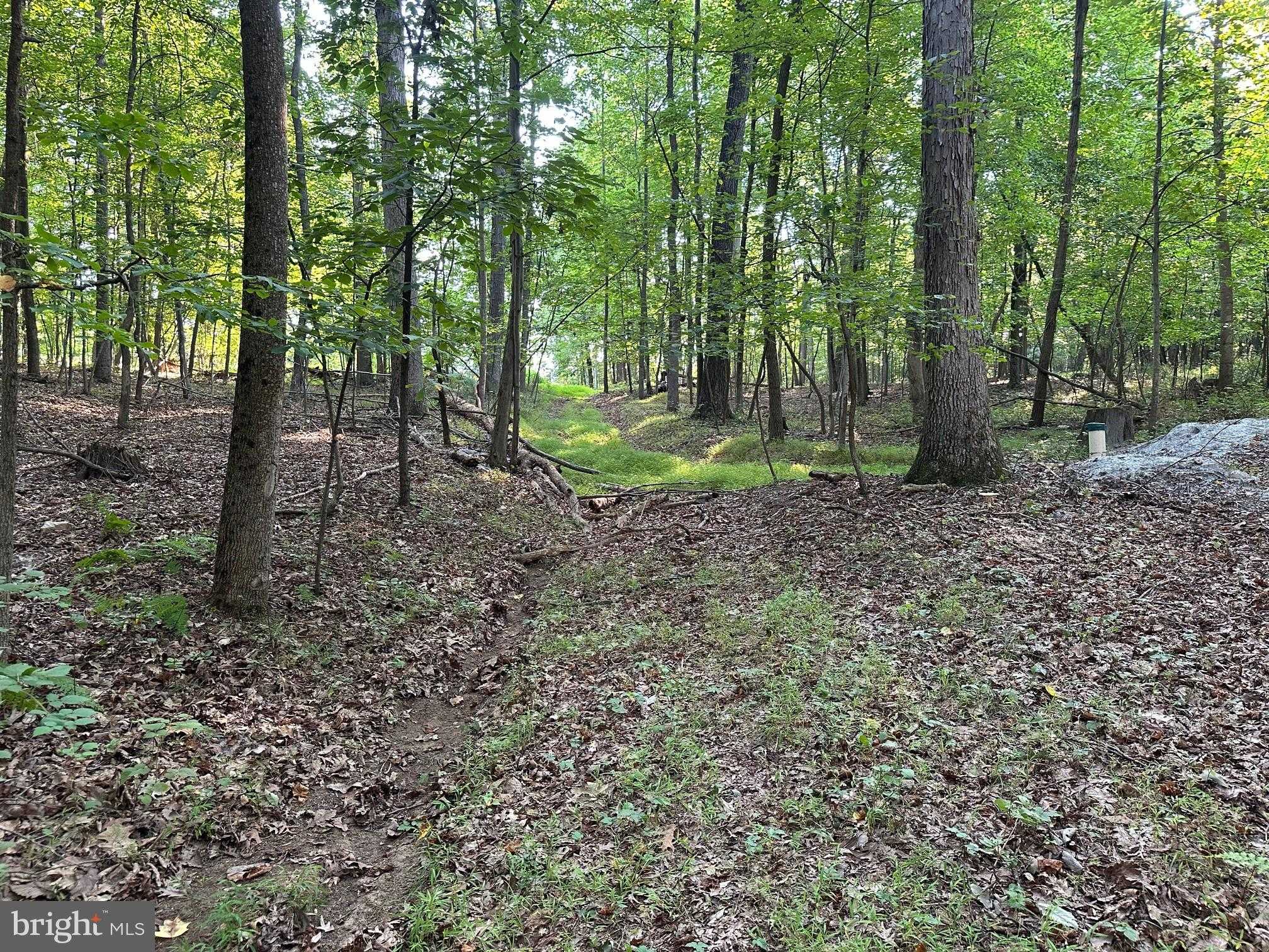 16418 Cedar Grove Rd photo 8