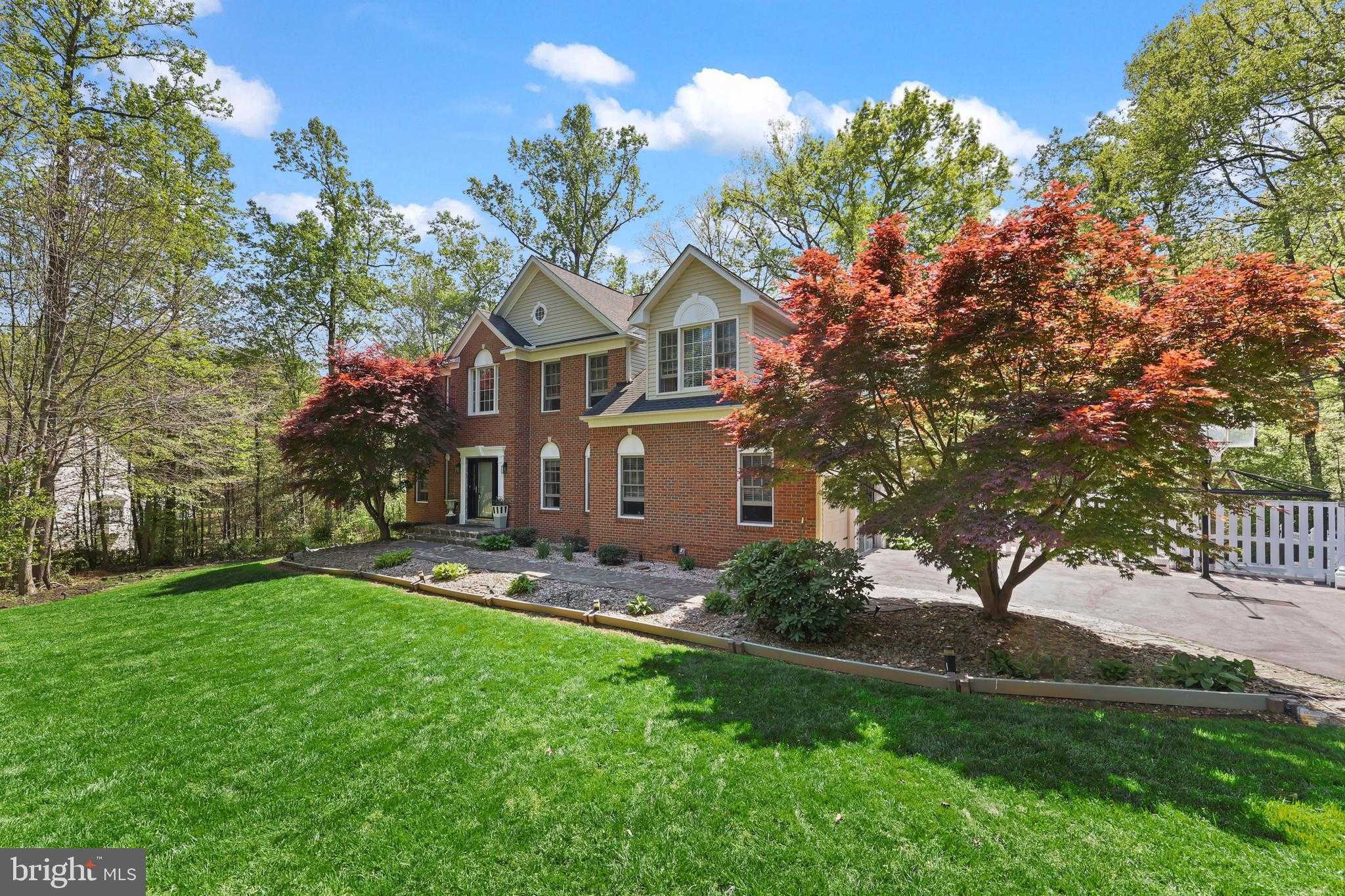 7113 Michala Barrett CT photo 69