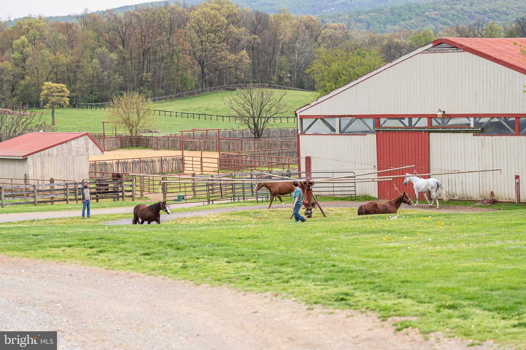 3637 Millwood Rd photo 29