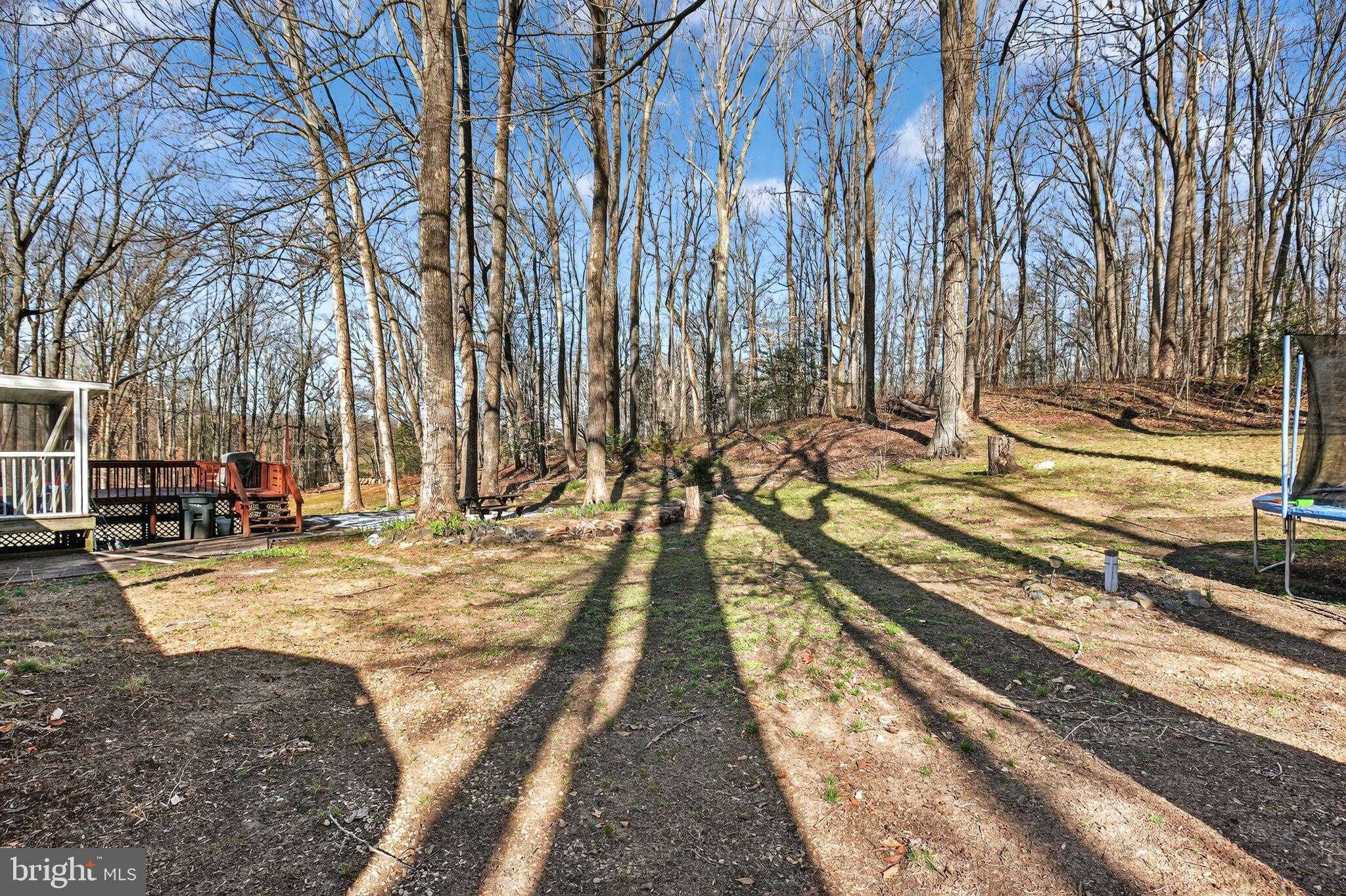 38842 Foley Mattingly Rd photo 14