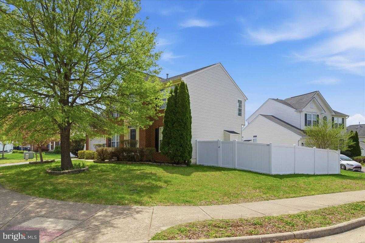 12232 Piney Ln photo 3