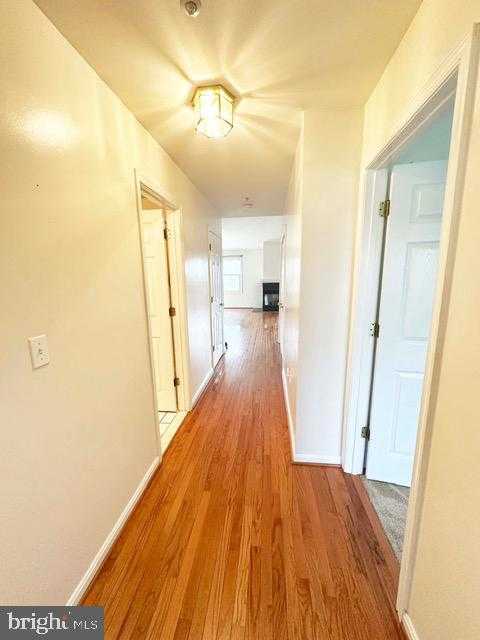 114 Merganser CT photo 7