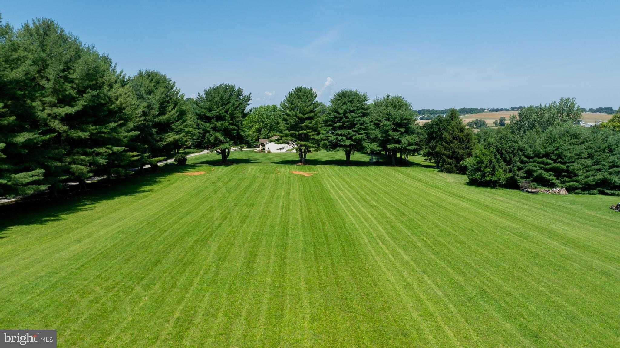 445 Steinfelt Rd photo 7