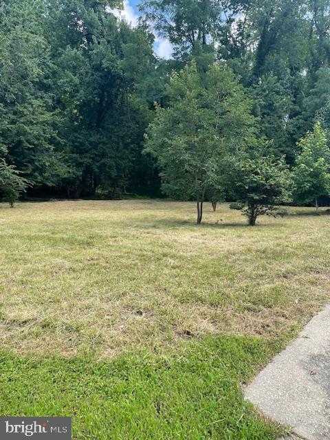 1005 Sero Estates Dr photo 6