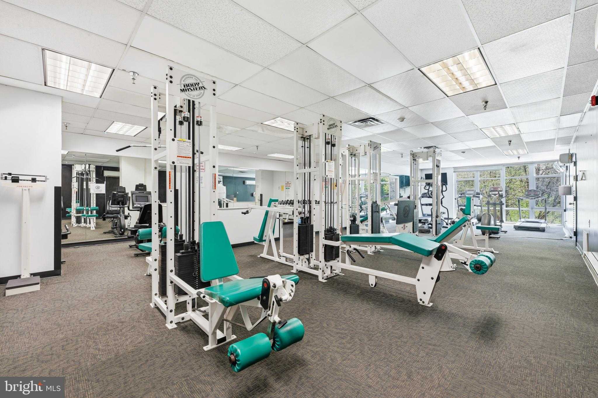 3600 Conshohocken Ave Apt 1204 photo 15