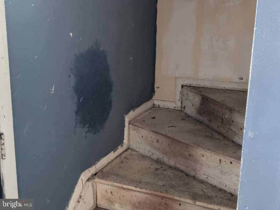 9803 Ambler Ln photo 49