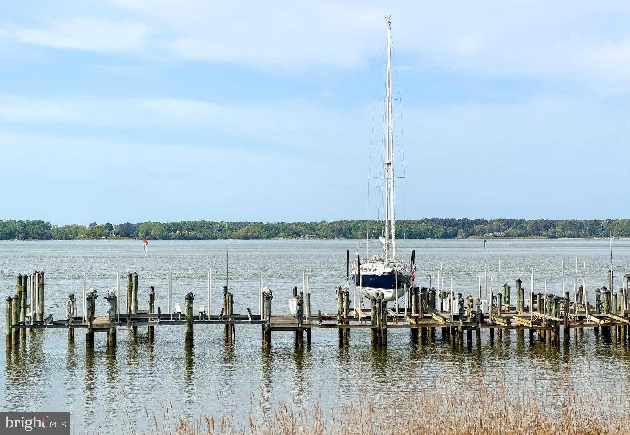 41249 Brenda CT photo 72