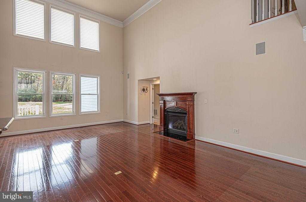 11834 Man O War Ln photo 22