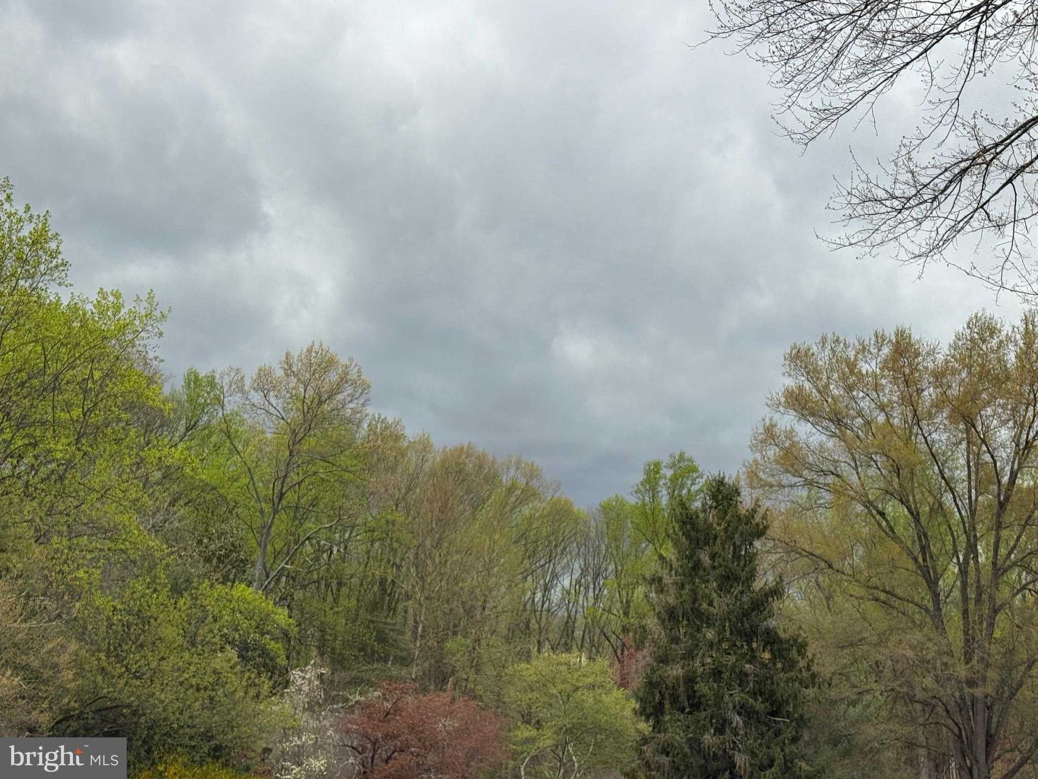 14713 Flints Grove Pl photo 46