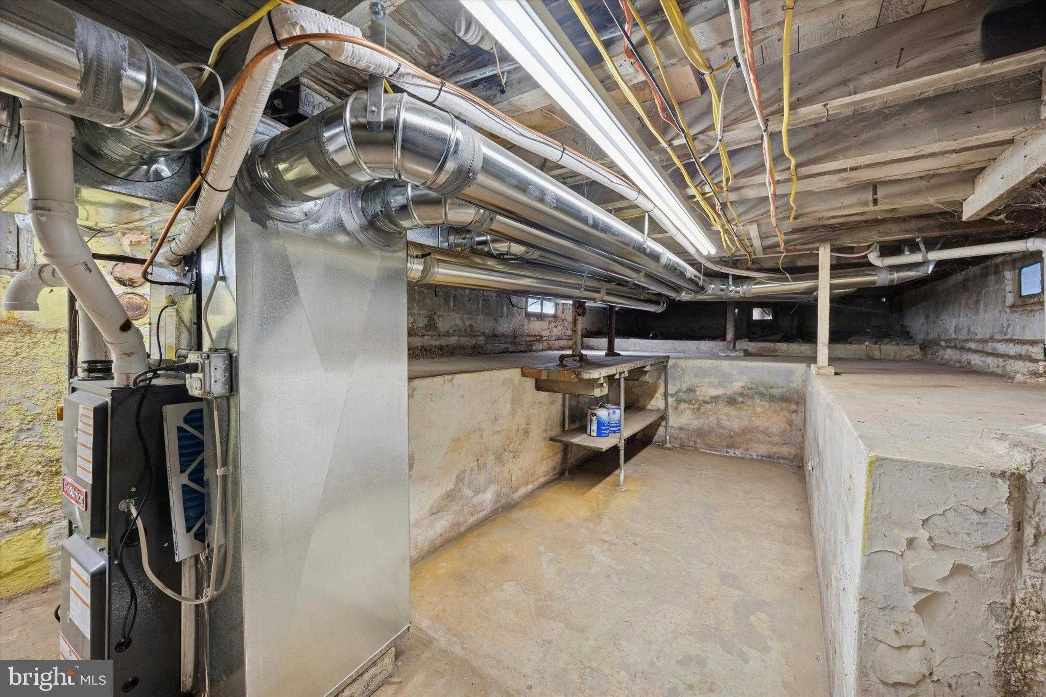 118 Bartram Ave photo 17