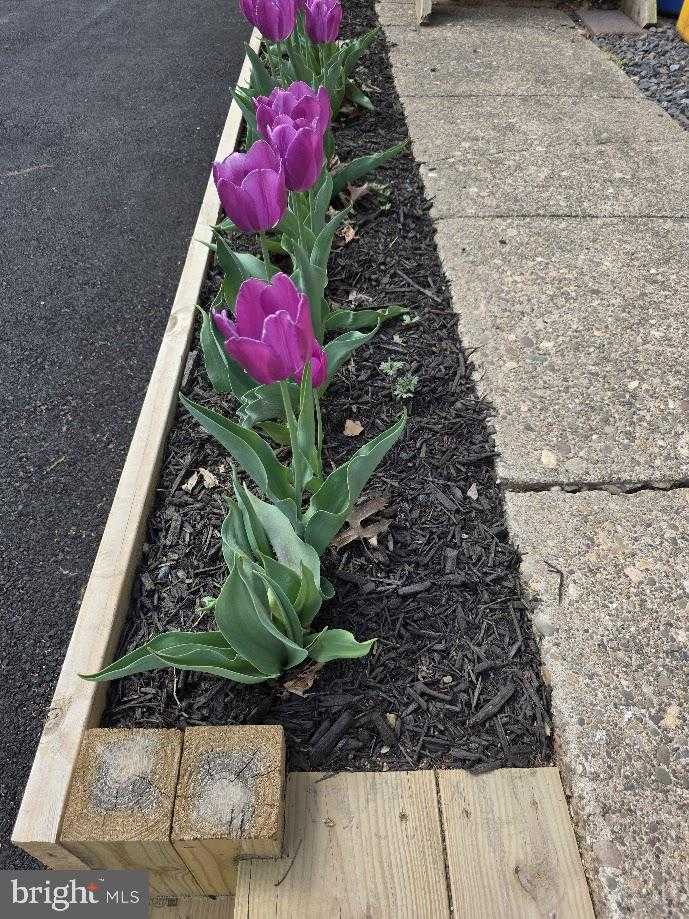 320 E Roosevelt Ave photo 3