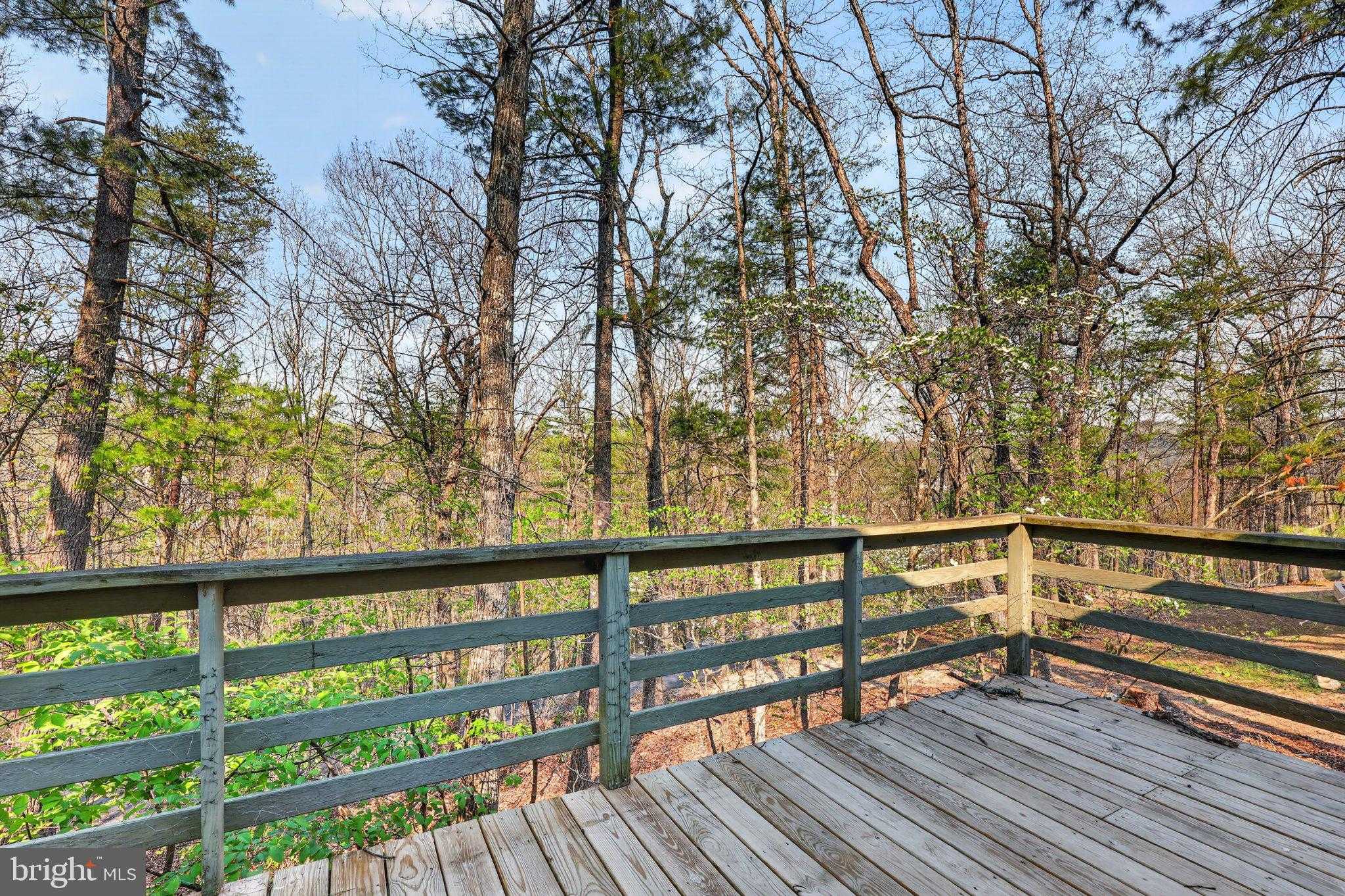 213 Morrie Dr photo 3