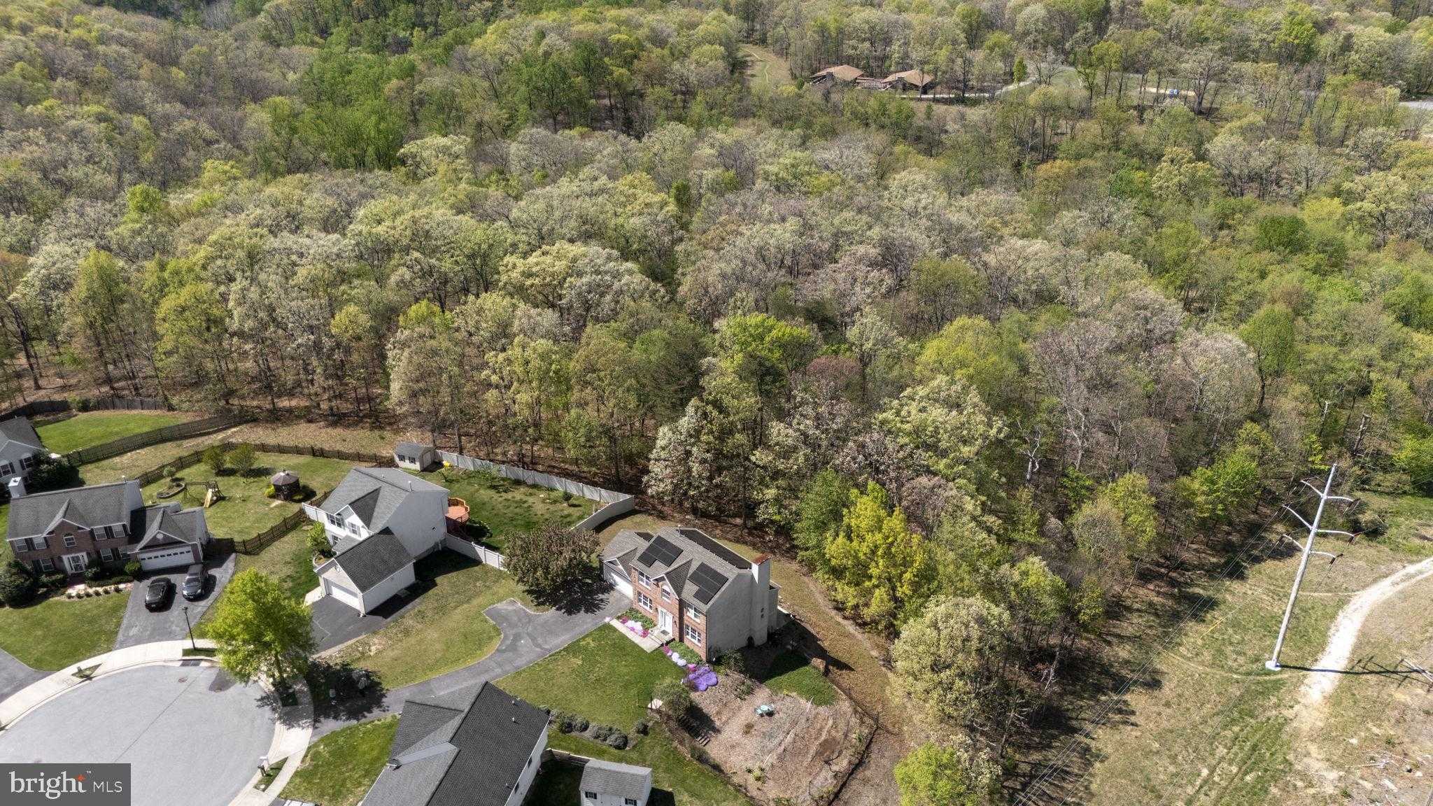 7622 Ashton Valley Way photo 4