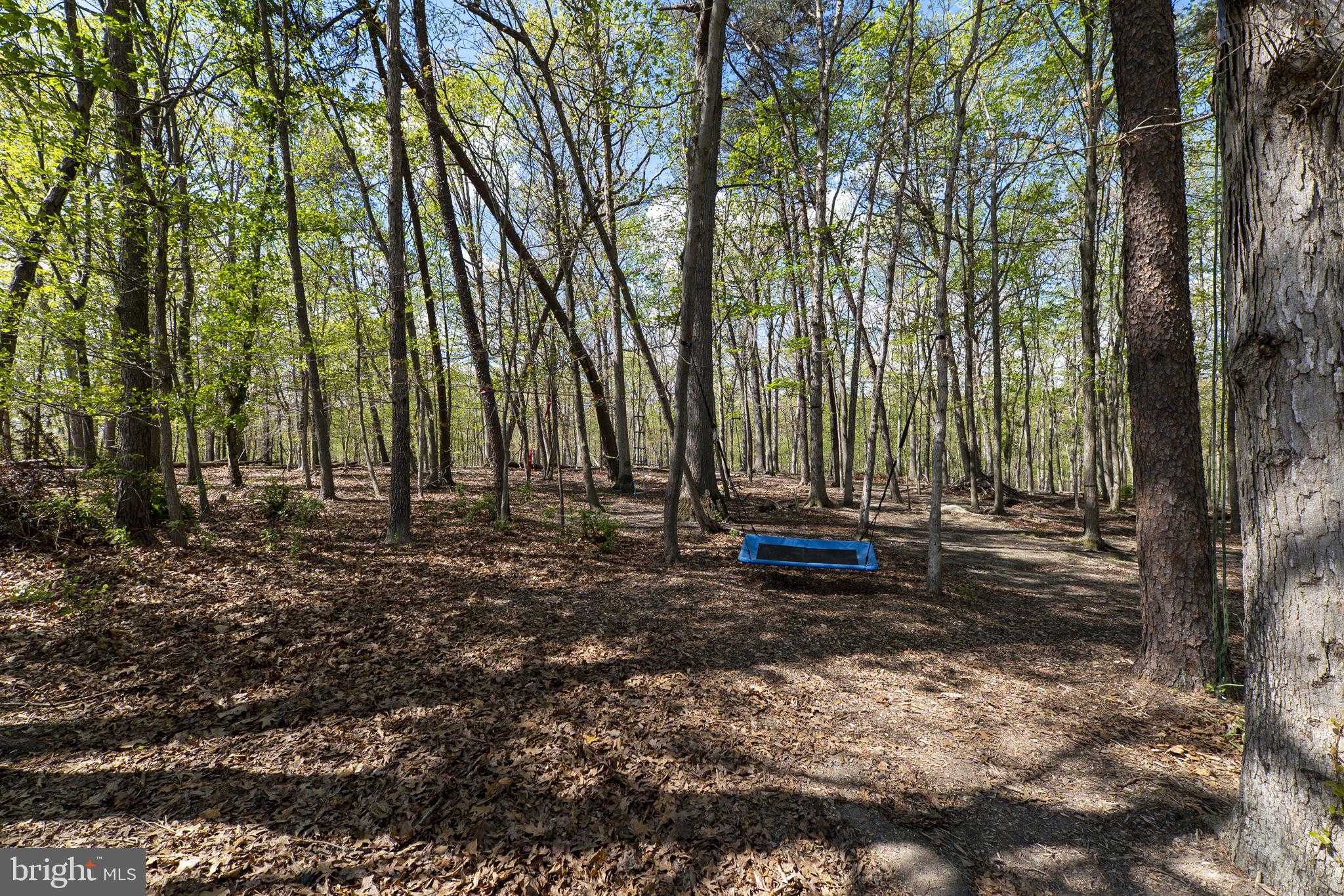 7622 Ashton Valley Way photo 54