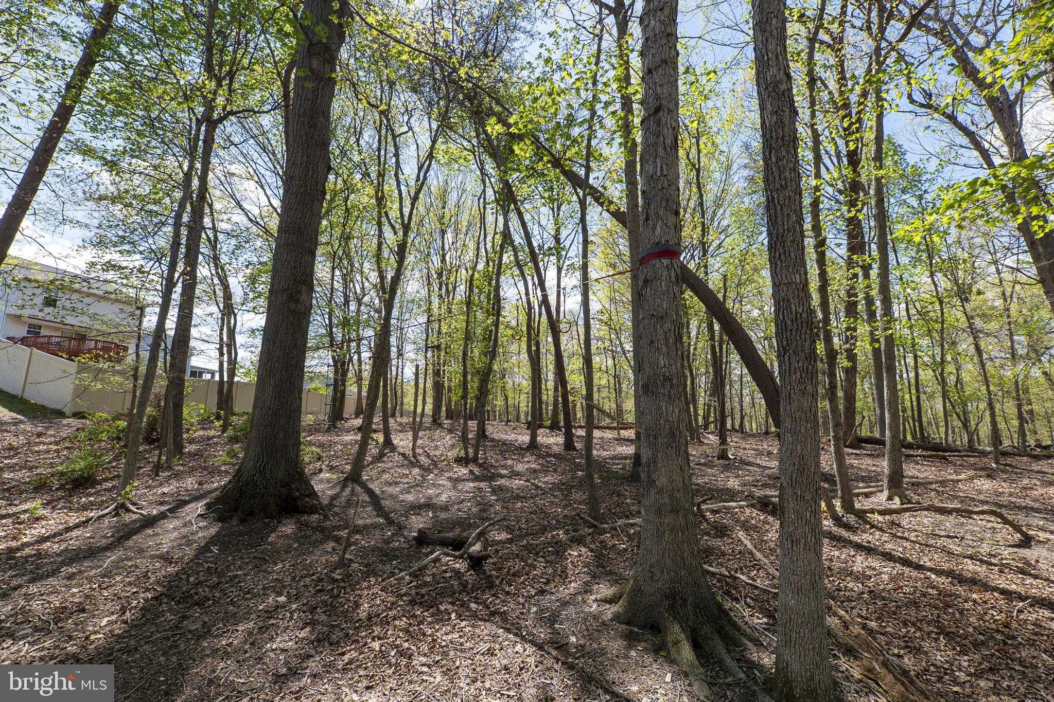 7622 Ashton Valley Way photo 56