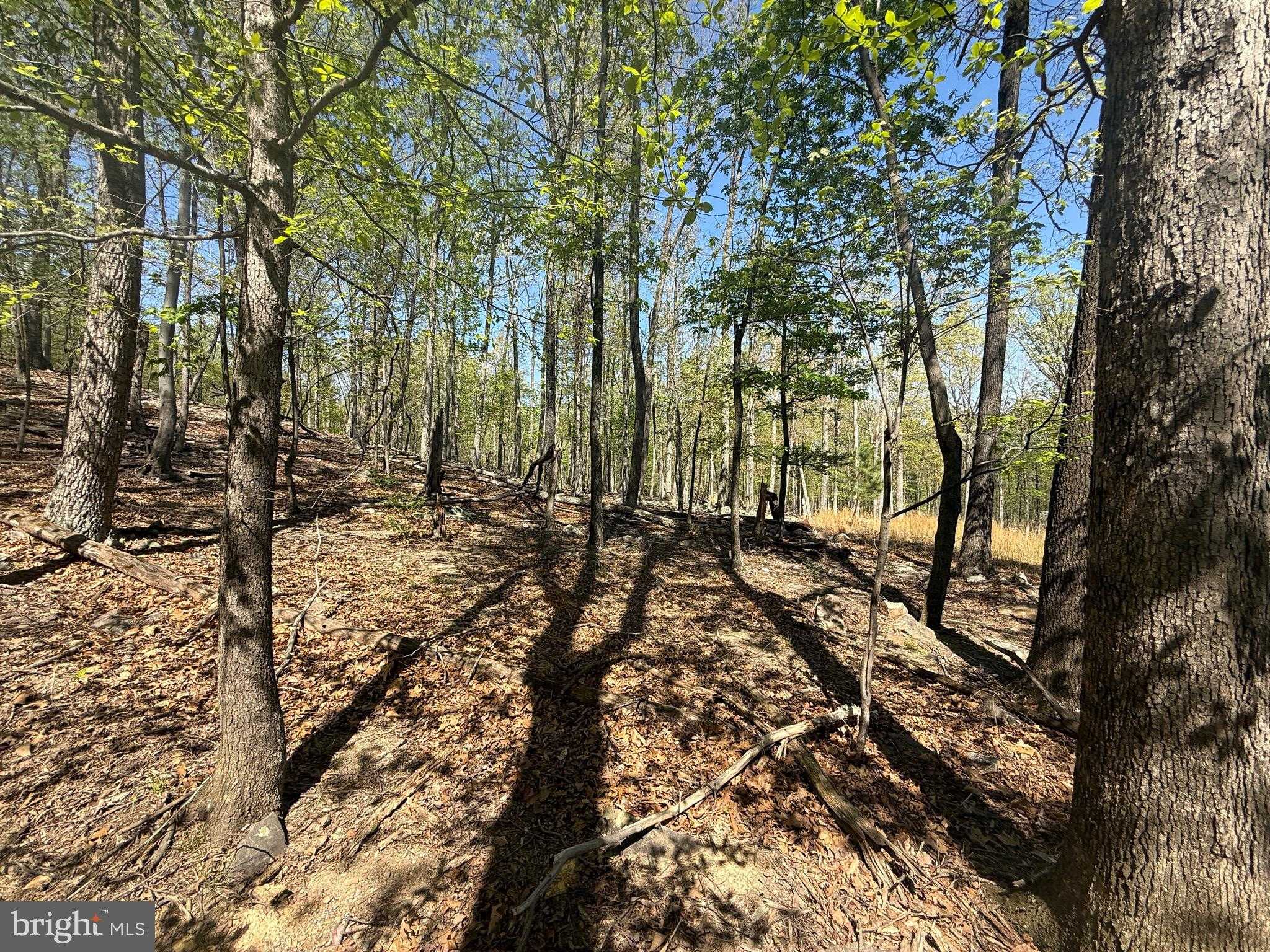 56 Leisure Ln photo 12