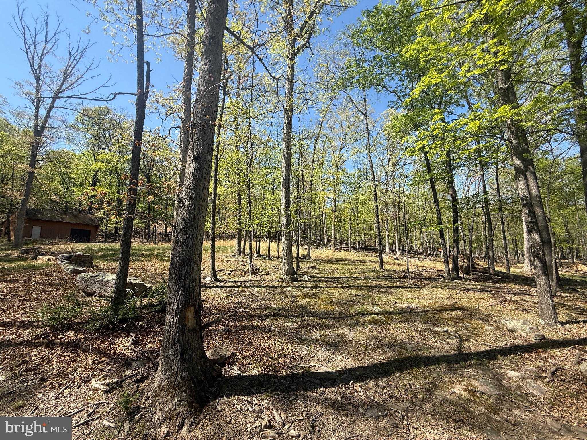 56 Leisure Ln photo 13