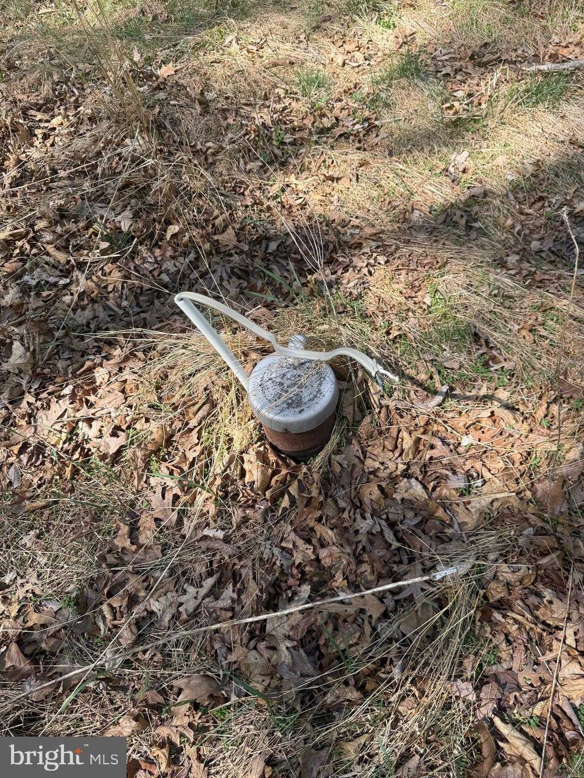 56 Leisure Ln photo 15