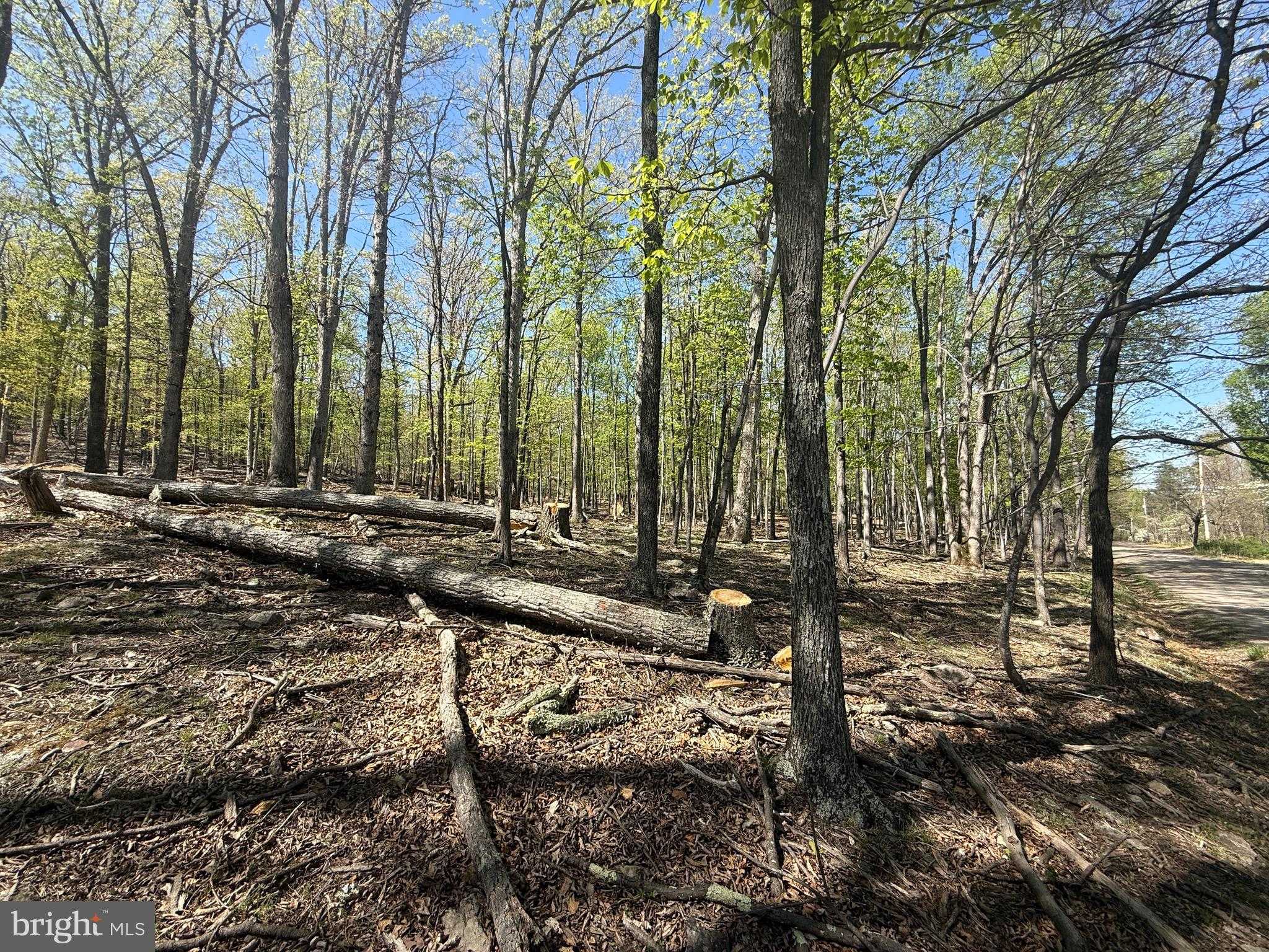 56 Leisure Ln photo 16