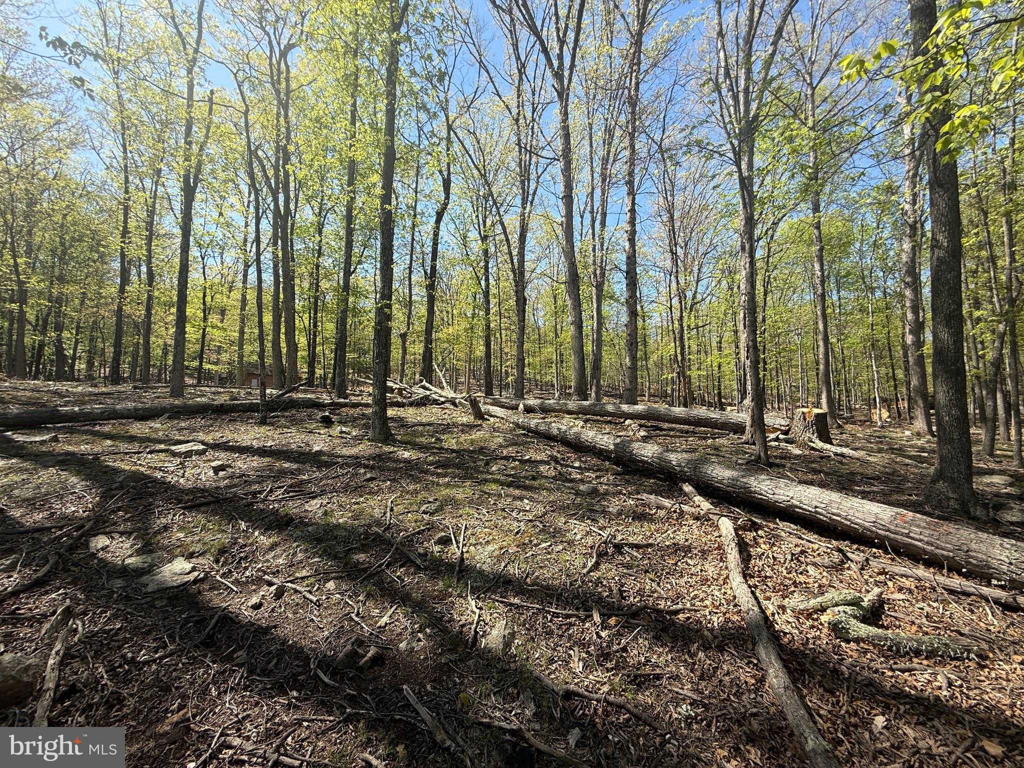 56 Leisure Ln photo 17