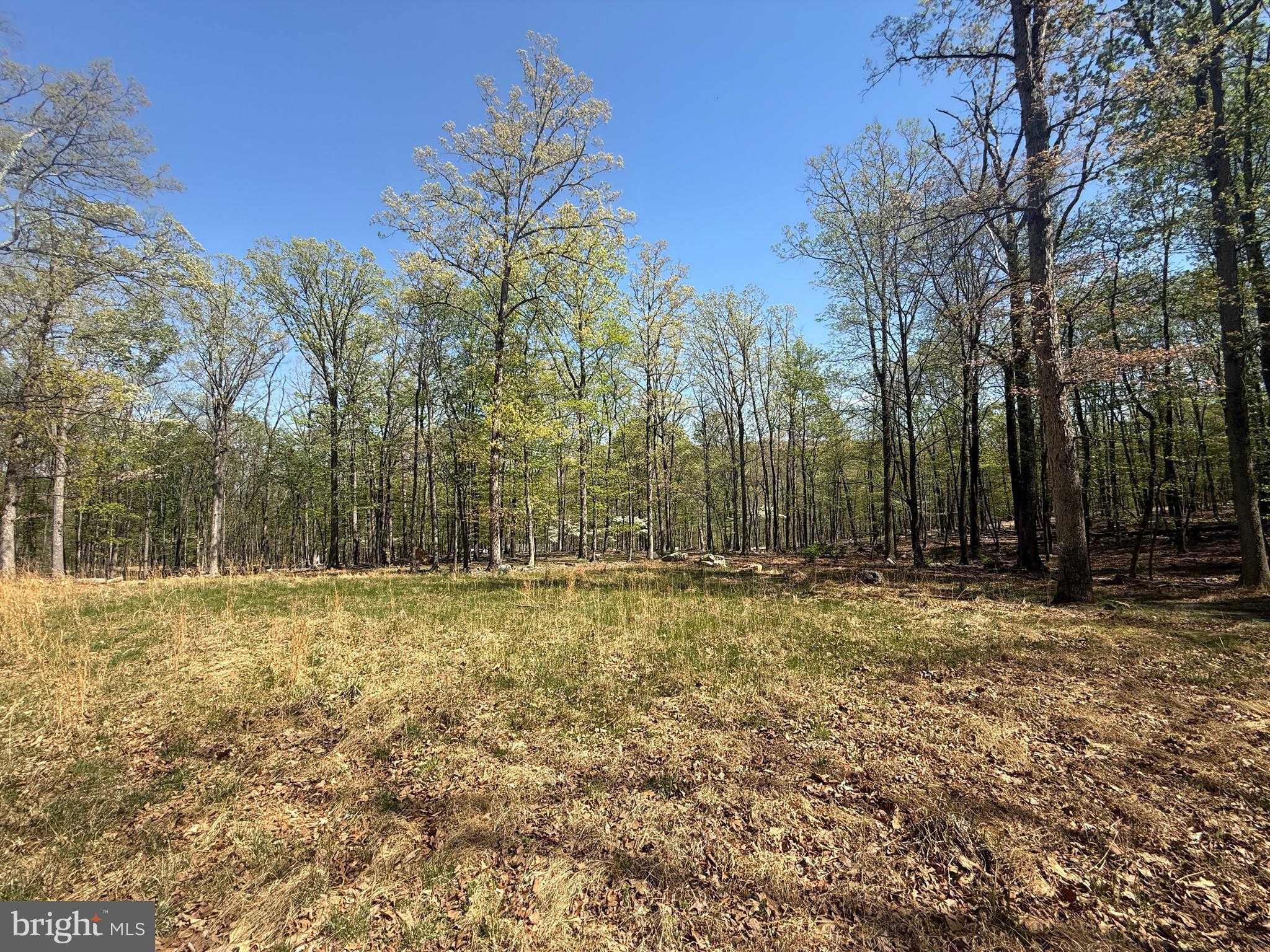 56 Leisure Ln photo 2