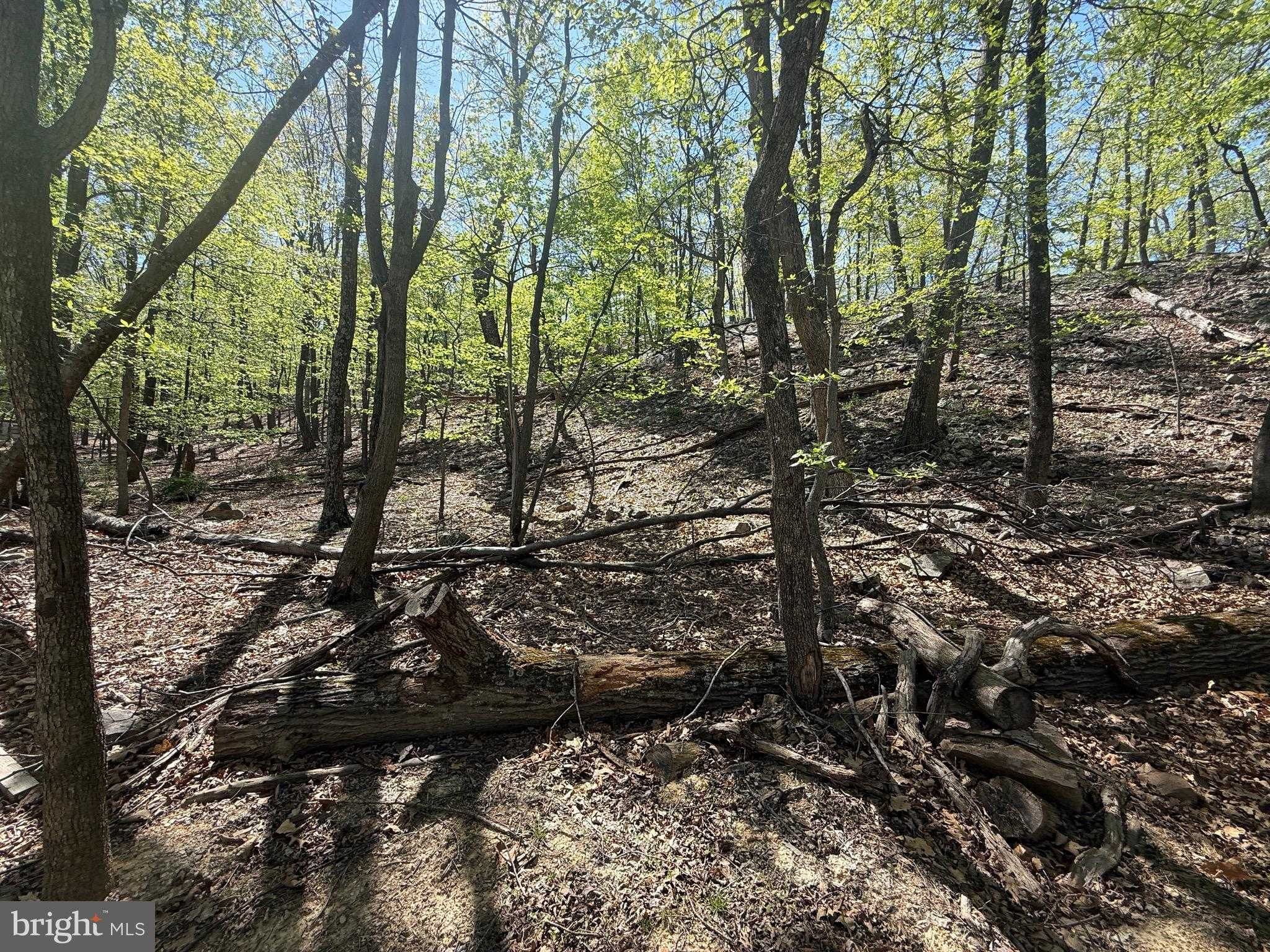 56 Leisure Ln photo 4