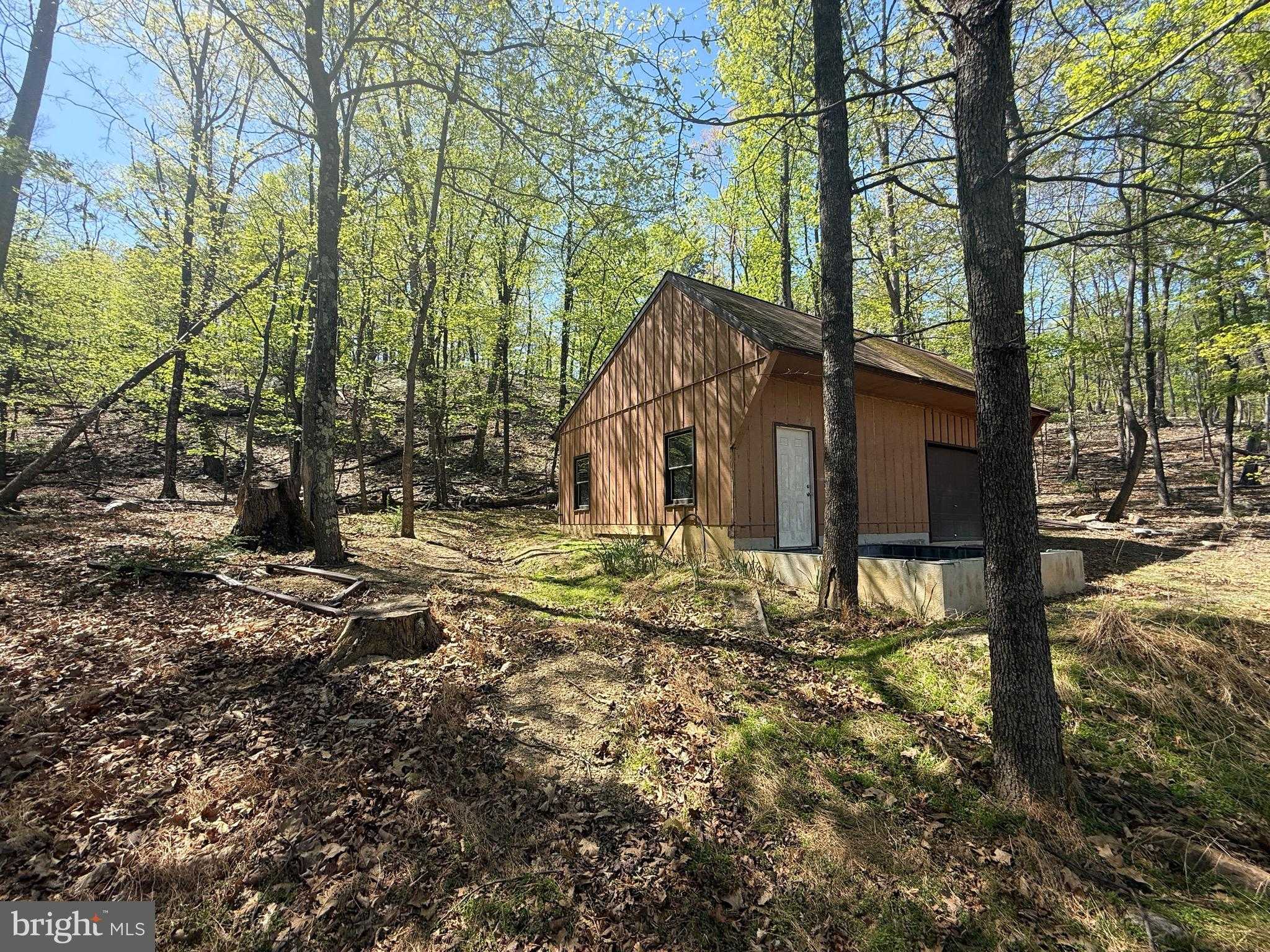 56 Leisure Ln photo 5