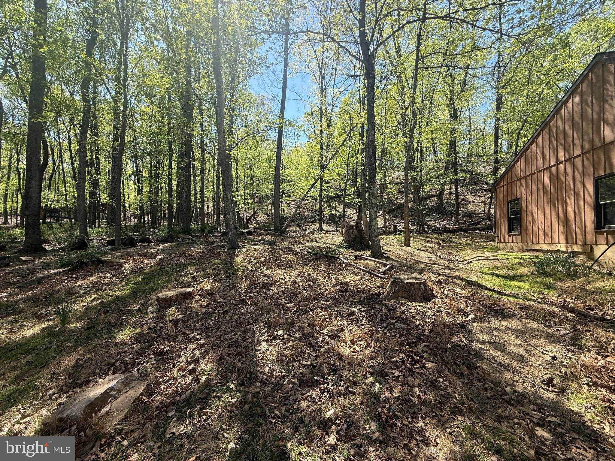 56 Leisure Ln photo 6