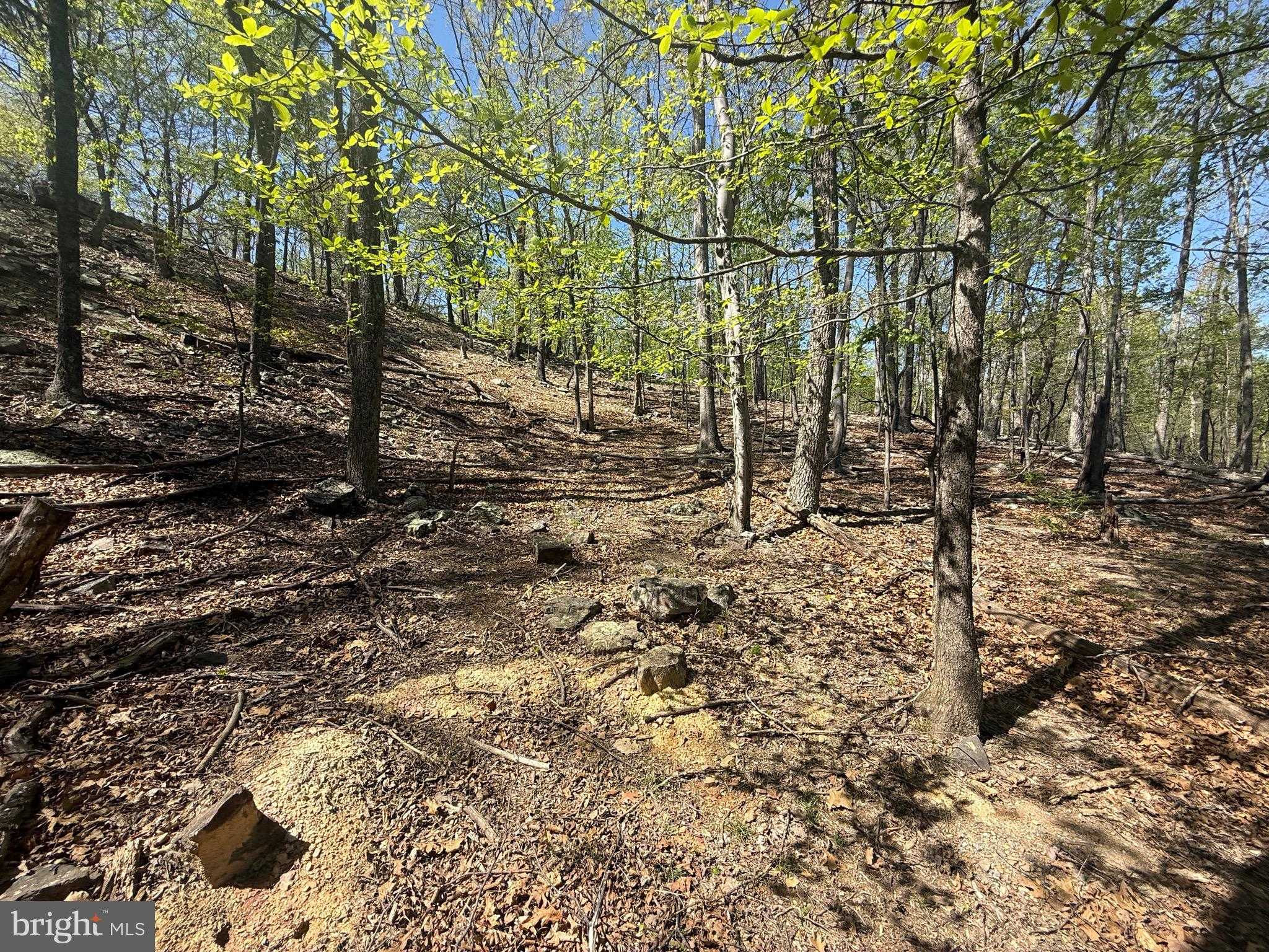 56 Leisure Ln photo 7