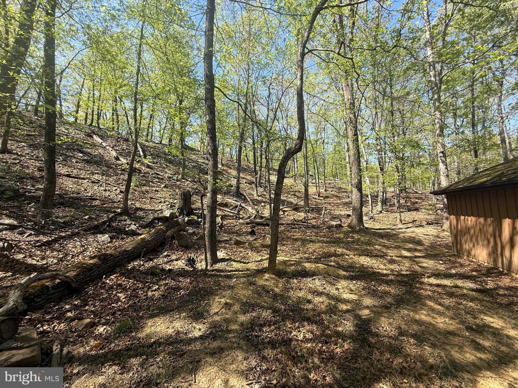 56 Leisure Ln photo 9