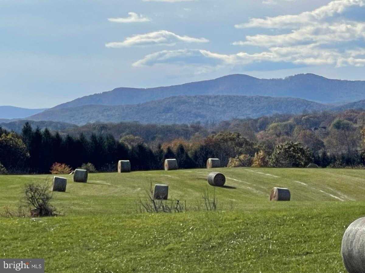 9078 Maidstone Rd # 9084 photo 2