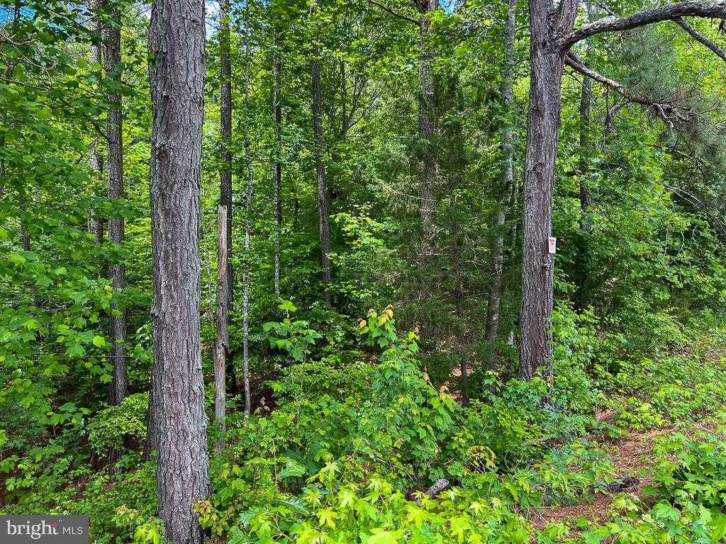 32082 Sparta Rd photo 14