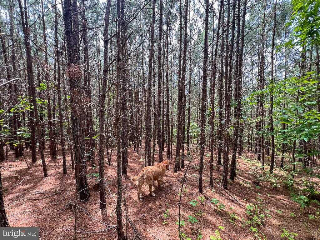 32082 Sparta Rd photo 23